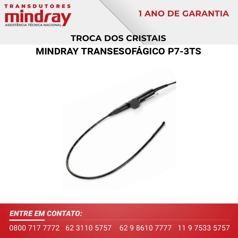 CRISTAL TRANSDUTOR MINDRAY TRANSESOFAGICO P7 3TS