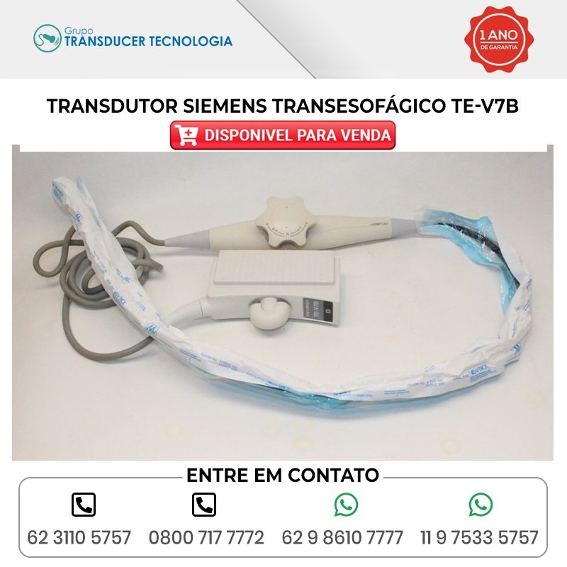 TRANSDUTOR SIEMENS TRANSESOFAGICO TE V7B DISPONIVEL PARA VENDA