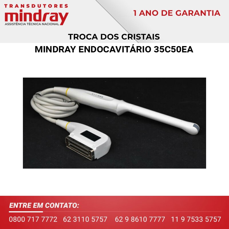 TROCA DOS CRISTAIS TRANSDUTOR MINDRAY ENDOCAVITÁRIO 35C50EA