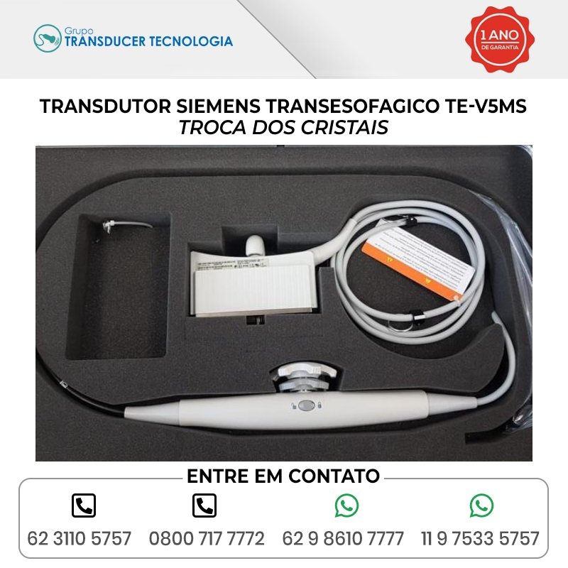 TROCA DOS CRISTAIS TRANSDUTOR SIEMENS TRANSESOFAGICO TE V5MS