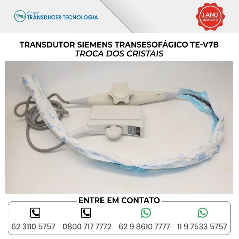 TROCA DOS CRISTAIS TRANSDUTOR SIEMENS TRANSESOFAGICO TE V7B