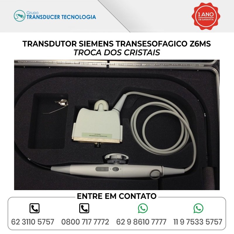TROCA DOS CRISTAIS TRANSDUTOR SIEMENS TRANSESOFAGICO Z6MS